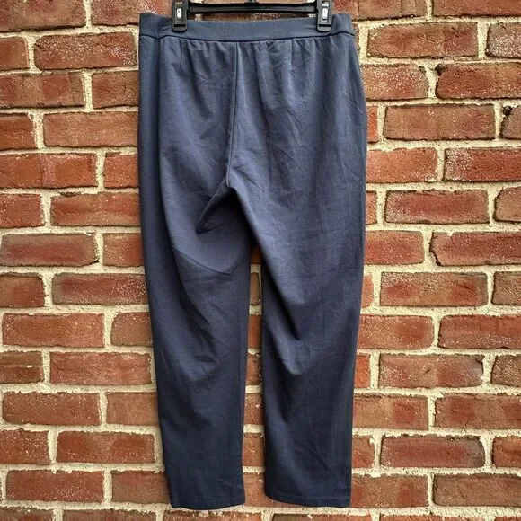 Eileen Fisher $198 Flex Ponte Straight Pants ocean Blue Petite Small NEW